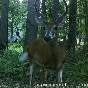 Meet your Posher, Russell